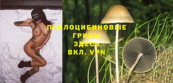 кокс Баксан