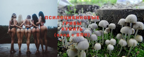 кокс Баксан